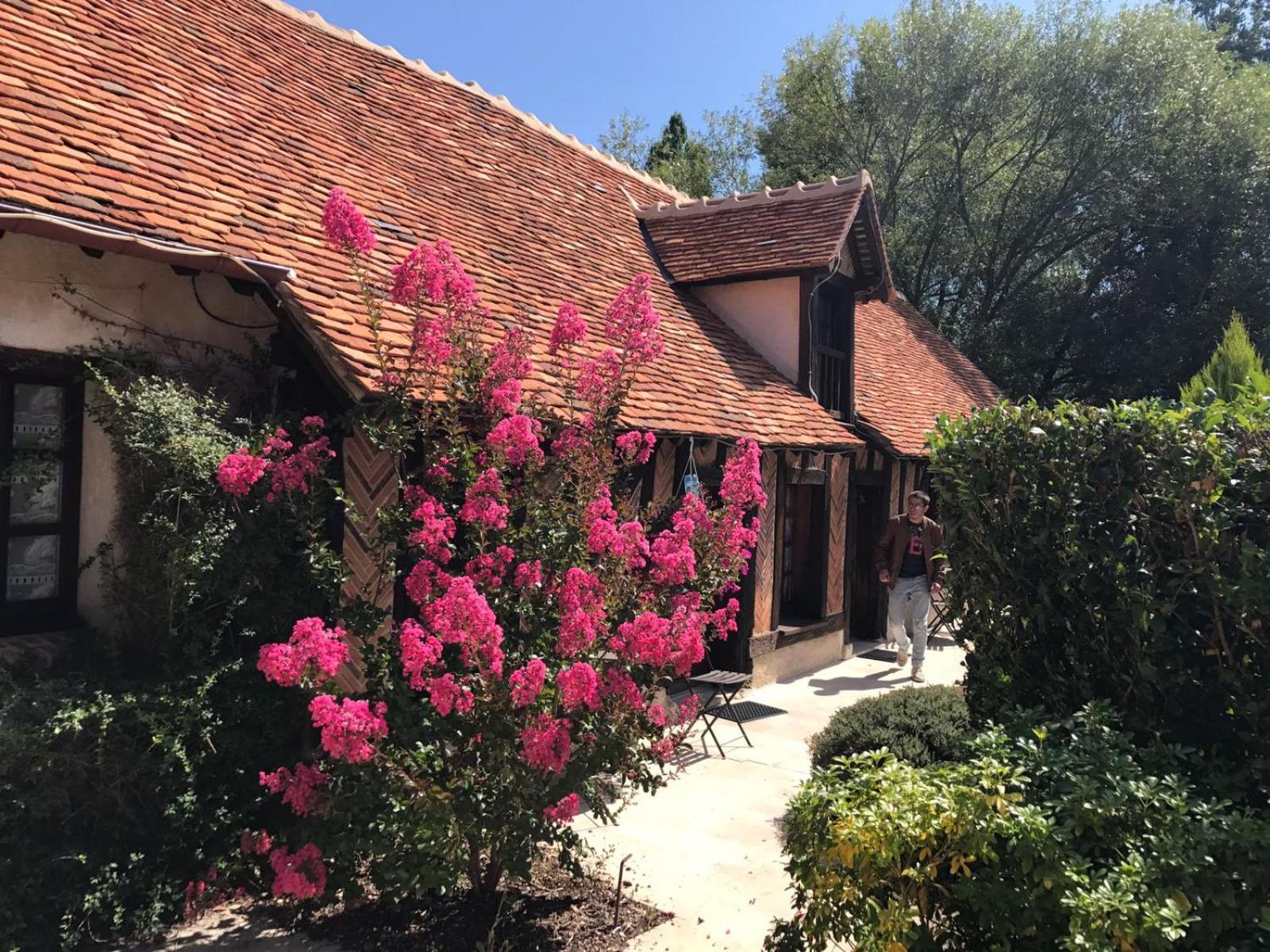 Domaine De Grand-Pas Villa Vernou-en-Sologne Exteriör bild