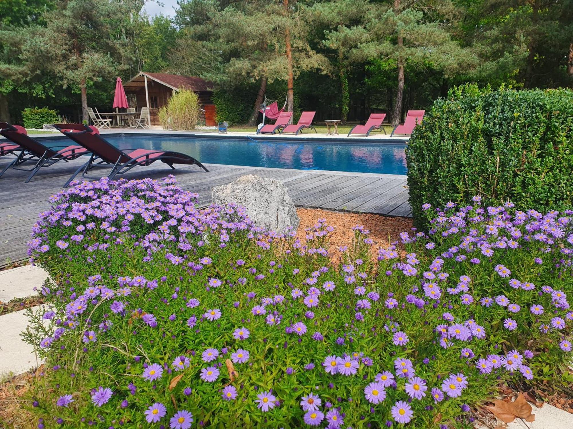 Domaine De Grand-Pas Villa Vernou-en-Sologne Exteriör bild